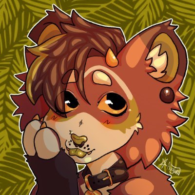 Tabby / finn ⭐️ Profile