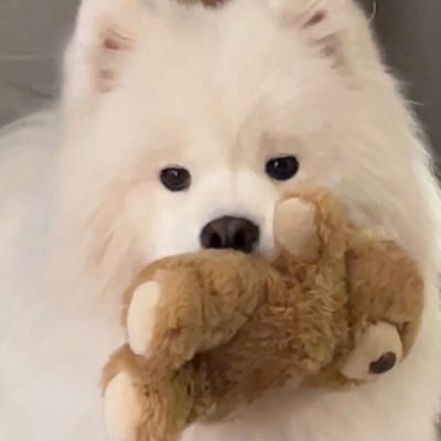 54srb_'s profile picture. . freenbecky; billkinpp | WWDC scholar 21'