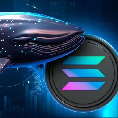 SOLANA WHALES ππ Profile