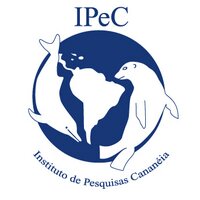 IPeC(@ipecpesquisas) 's Twitter Profileg