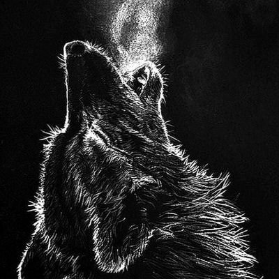 ULeanOnMe's profile picture. 