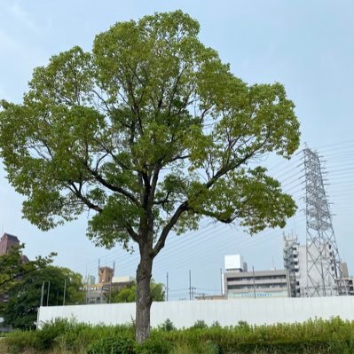 前期古墳時代から生きています 河内国に新幹線駅の誘致を!!河内国とは、大阪の東側の南北に細長い地域です!