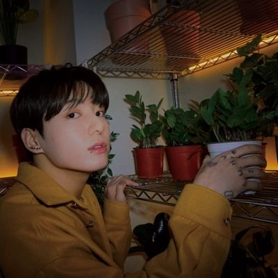 ✨OT ⁷
✨ Soy Fan de lo que inspira.
✨Soy Fan del amor en todas sus formas.
✨Apoyo Incondicional para los 7
✨ APOBANGPO 👑
✨BIAS - JEON JUNGKOOK 💜
