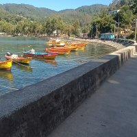 disfrutar la vida (@gduran13178182) 's Twitter Profile Photo disfrutar la vida (@gduran13178182) 's Twitter Profile Photo
