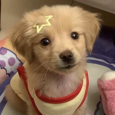 dammi00's profile picture. Love ya