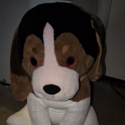 Joho612's profile picture. Well Rounded individual.
Realist, critical thinking, cynical, caring, sarcastic.