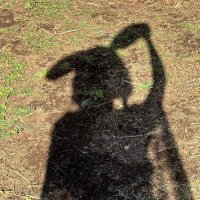 γγπββοΈ (@fz96ran) 's Twitter Profile