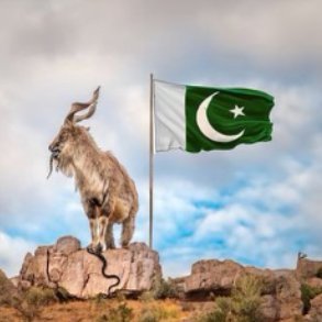 SAT_AlWaYs197's profile picture. 