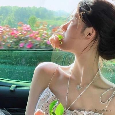 vancchio's profile picture. 📸