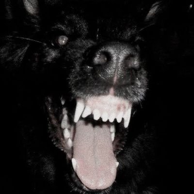 Tobias1465825's profile picture. 