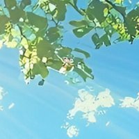 凪-nagi- (@nagipoke_ca) Twitter profile photo