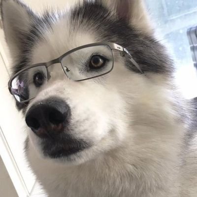 du_geng95357's profile picture. 耕读不辍