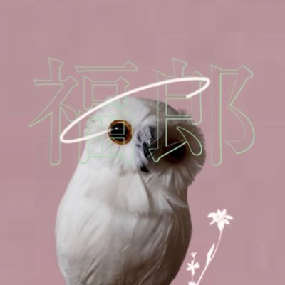 猛禽類の雄♂🦉フレハウスで飼育、LKDC入部🏠フレデリック/ラッキリ/サカナクション/ポルカ等幅広く浅く🎧最近E.scene気になる。リプ頂けるとフォロバしやすいです😊(無言OKですがあまりフォロバしてません🙇♂️)
