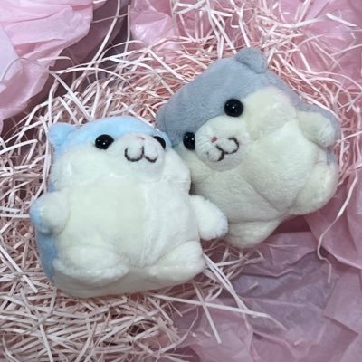 🩶ぽんた 2024.10.26 🩵うり 2025.07.03 はなえのぬいぐるみ( @hanaenonui )様のとこから やってきてくれた はむちゃん 🐹🐹