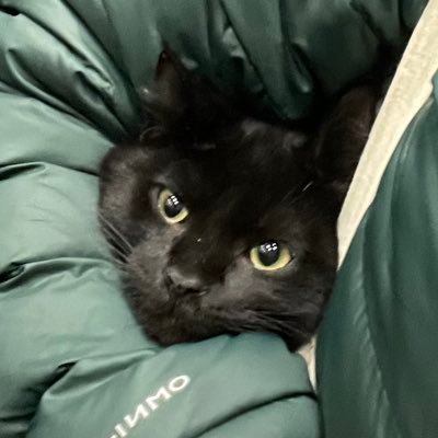 balegebehavior's profile picture. 