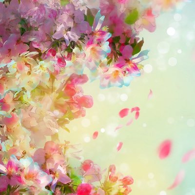 19kisaragi89's profile picture. 成人済の社蓄/FGO/リバース1999/GQX❤️&🟩.🟧🟩/🏇横山典弘騎手推し