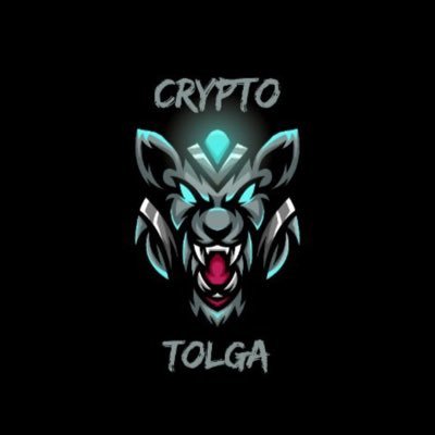 Crypto Tolga Profile
