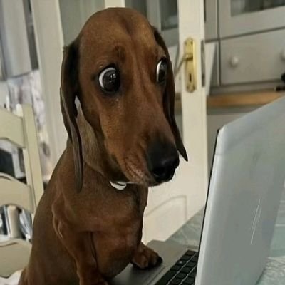ventsandcuts's profile picture. 