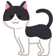 qsssssj's profile picture. コスメ