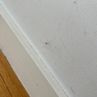 natttttt_nat's profile picture. Hi to the person I'm arguing with, reading my bio or stalking my account like a roach? 🪳

No hate like Terminally Online Christian hate 😂