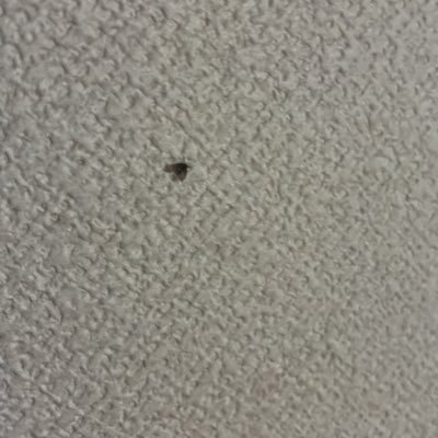 ChenYuping24506's profile picture. 