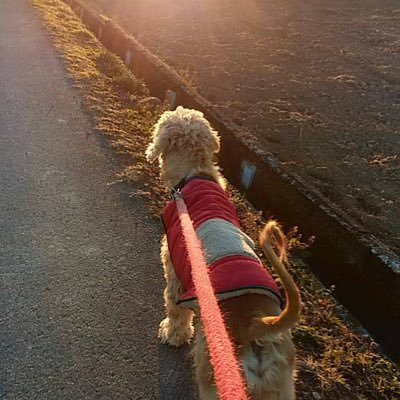只今68歳!第三の人生開幕!電車に乗っていろんな世界を見たり、カラオケに挑戦したり…これまでできなかった当たり前を拾い集めて行くぞ!私の明日は何色かな… 宗教・投資等の勧誘DMはお断りしております🙏