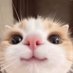 YosiYoshi | 𝔽rAI (@yakaligakdiisi) Twitter profile photo YosiYoshi | 𝔽rAI (@yakaligakdiisi) Twitter profile photo