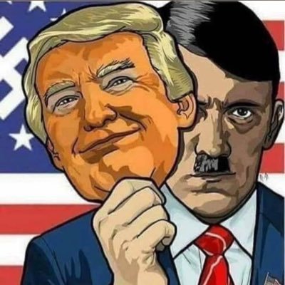 TippiTheVegan's profile picture. How in the hell did America end up with an unexperienced, racist, vindictive, grifting conman as president?