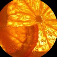 molani ⁹⁹⁸ᵗʷᵗ 🍊 (@molani49) 's Twitter Profile