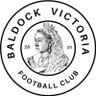 ClubSandon's profile picture. Est 2020 - Hitchin Sunday League Division One Sponsored by @TheVicBaldock