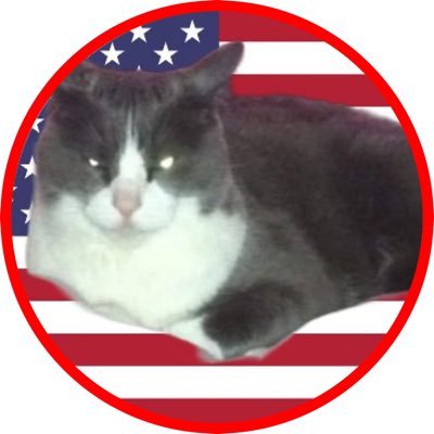 AKA Mobykatt , 4th times a charm , independent