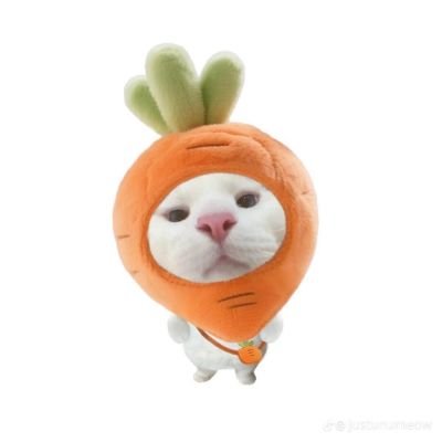 faarstudy's profile picture. akun ambis farisa ⭐👊🏻