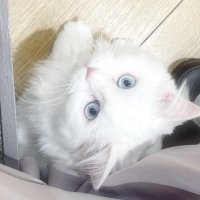 いぶき(内勤) (@_channel_777) 's Twitter Profile