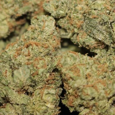🚨Your One Stop Weed partner in Town🔌 Highest quality Cannabis in TOWN🇺🇬💨