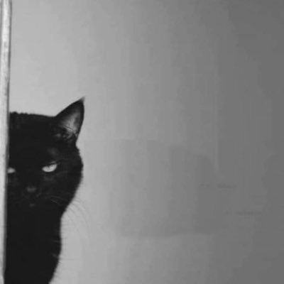 exi_sth's profile picture. 