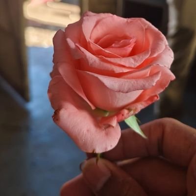 Shreenidhink130's profile picture. |Serendipity-brew of patience and action |