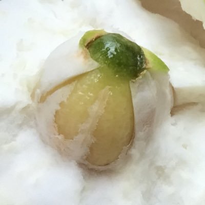 3MA7Alveria's profile picture. 