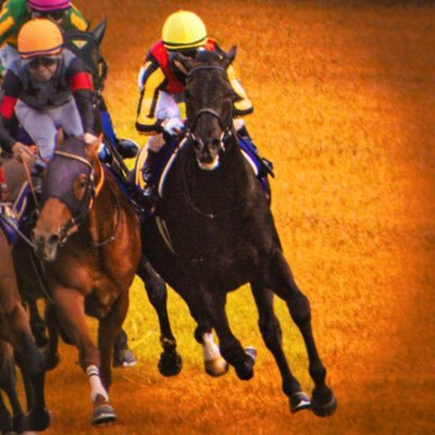 Racetrack fairy here/JRA & NAR/Personal account with no financial gain/Please let me know if any posts need removal/Do Deuce😍/Croix du Nord🤩