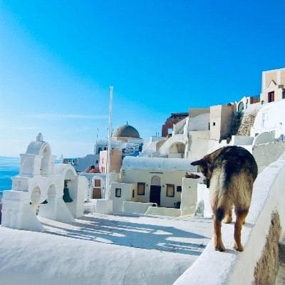 nagana_7's profile picture. 🎤ファンの非公式アカウント🎤
色々つぶやく用 20↑ ／ 原作＆映画カラオケ行こ！とか好き ／ 聡実くんと狂児さんの幸せを永遠に願う ／ ｼｭﾐの情報分析（all作品）➡️https://t.co/CkiFloO77k
その他リンク➡️https://t.co/mqRJ9Nz2oC