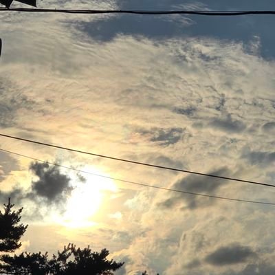 NK3OLMZtfHrRUYD's profile picture. 