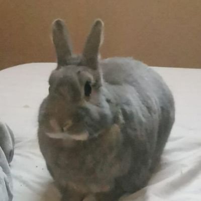 coldobajose2022's profile picture. 