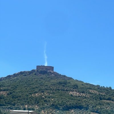 Amalio433769's profile picture. 