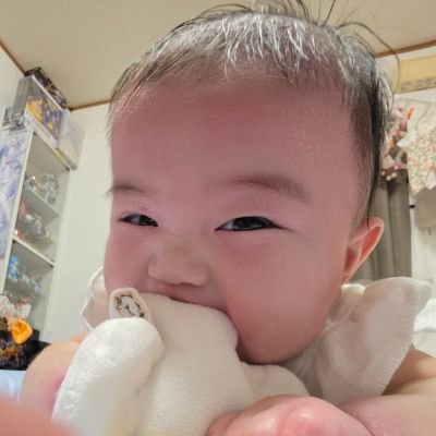 基本的に見る専です。
モンスト、NIKKE、ドッカンバトル、遊戯王ラッシュ、ガンダムEXVSやってます。
好きなもの、ガンダム、勇者シリーズ、ワタルなどロボット物、ドラゴンボール、サイバーフォーミュラ、東京グール、ハガレン、映画
2024年12月31日女の子産まれたした