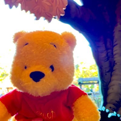 Otoo_shiho's profile picture. クラウドエンジニア| CCoE | 2023-2025 AWS All Cert | 2025年はAI導入頑張る | 転職しました。現職1年目。🔥