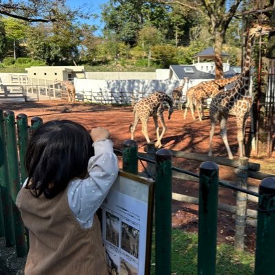 kazuappdev's profile picture. 個人でスマホアプリの開発をしています。本業はシステム開発の営業・PMです。