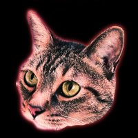 Pokusuke (@pokusuke_do_it) 's Twitter Profile