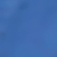 kalachuchi (@crispypatatah) 's Twitter Profile Photo kalachuchi (@crispypatatah) 's Twitter Profile Photo