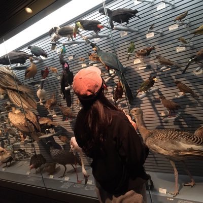 an_o33o's profile picture. ☪︎ スタジオCeleste 𖦹 黒潮美遊