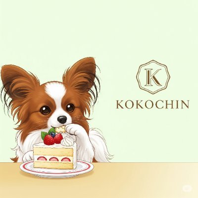 kokochinz's profile picture. NITNC → NAIST & I co. inc CEO → ‘25新卒