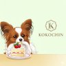 kokochinz's profile picture. NITNC → NAIST & I co. inc CEO → ‘25新卒